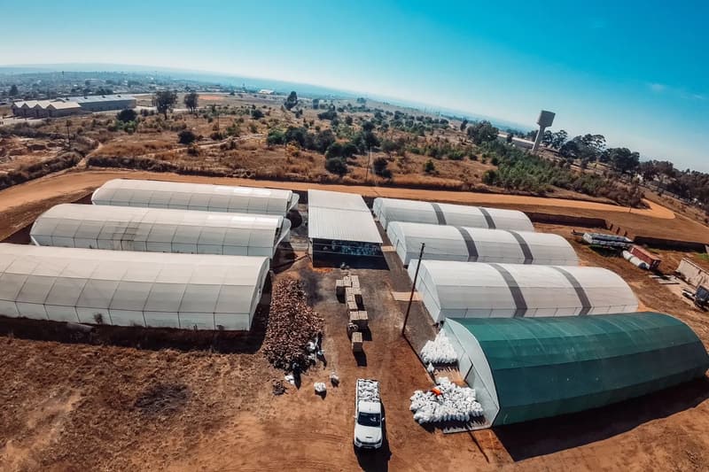 Aerial view of rows of white tunnels and a green net house on a red-soil farm