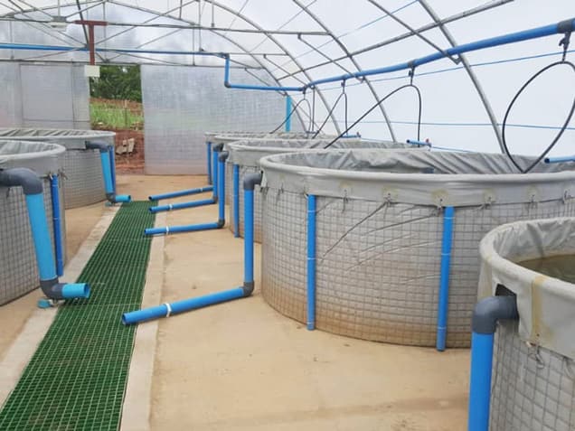 Round fish tanks with blue water pipes inside a tunnel