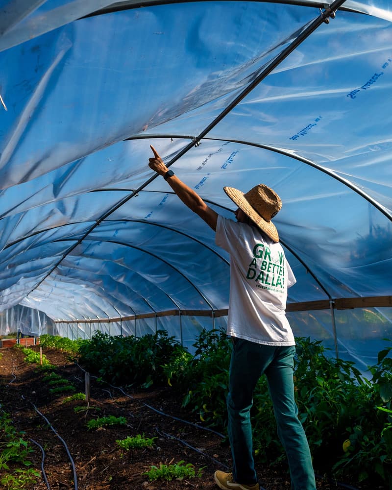 Grower inside a plastic tunnel pointing up at the arches and cover