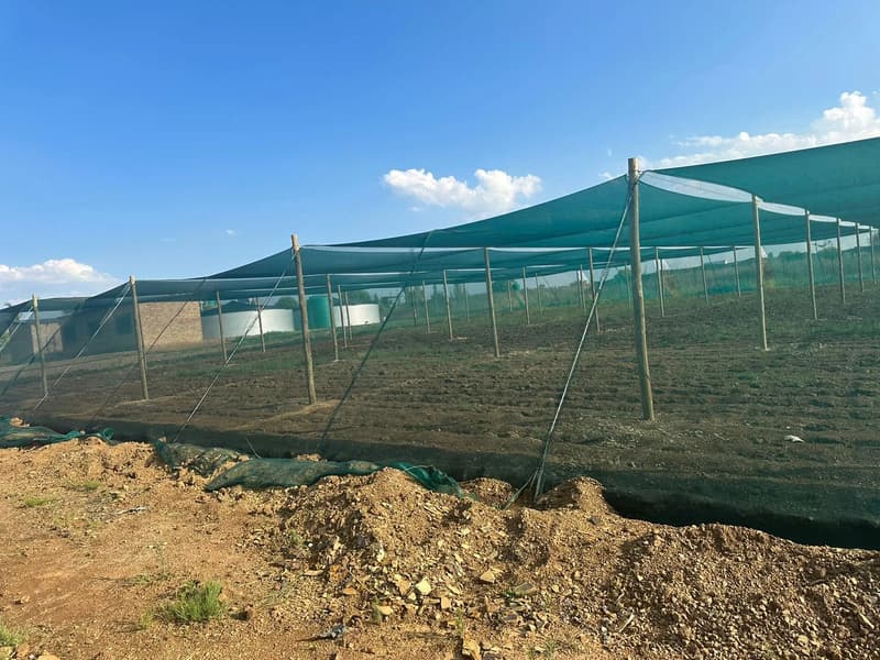 Green shade-net house on treated wooden poles, with the net edge buried in a trench