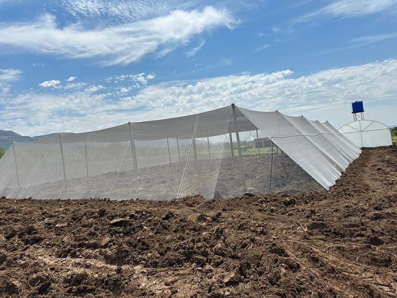 White shade-net house on prepared ground, with a tunnel in the distance
