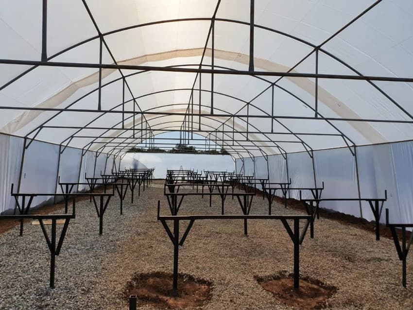 Rows of steel seedling benches on gravel inside a tunnel