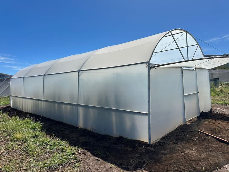 Single tunnel covered in white plastic, with its gable flap raised and door at the end