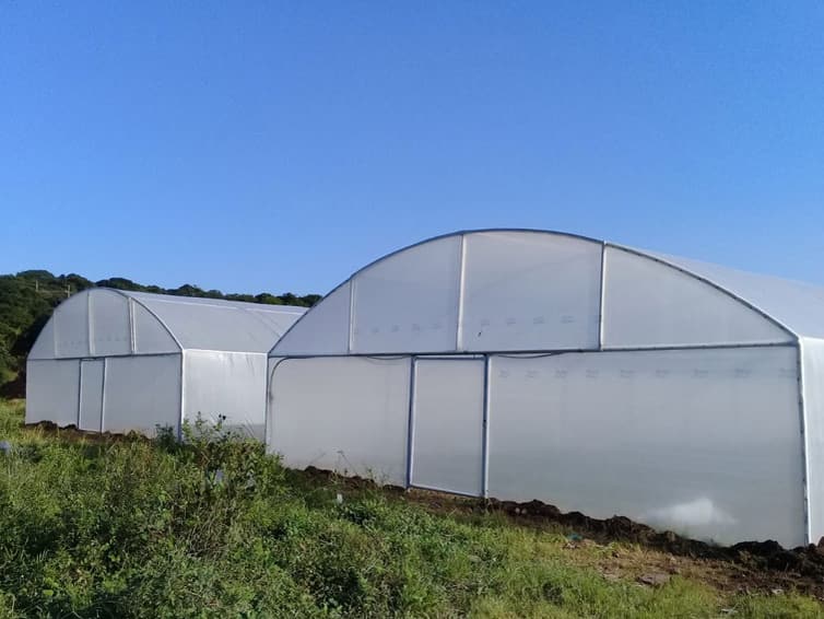 Two finished tunnels in white plastic on a green slope under a blue sky