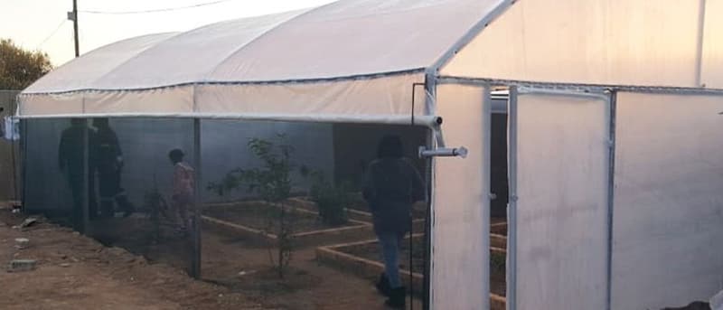 Roll-up tunnel with its side plastic rolled up, showing raised beds inside